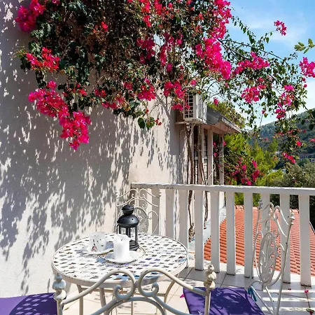 Angela Villa Lastovo